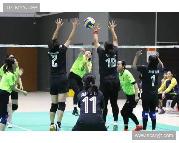 北京排球队逆袭之路揭秘精英赛背后的奋斗与荣耀