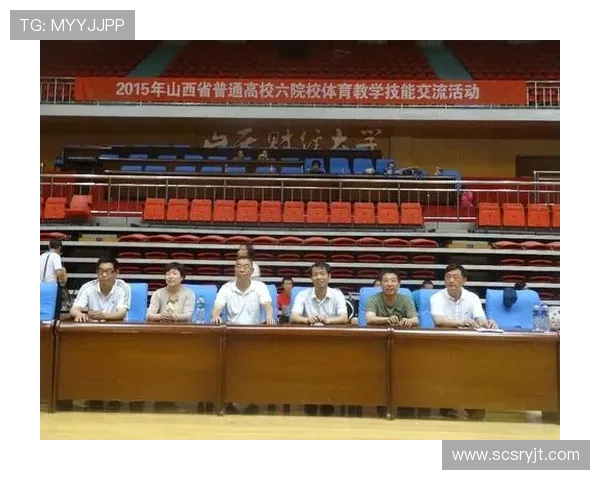 南京羽毛球队战术分析与策略探讨助力竞技水平提升